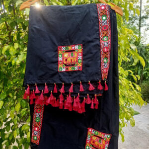 Sador Mekhela With Applique Work